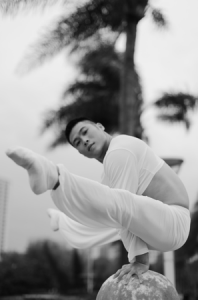 達(dá)人秀倒立舞者、柔術(shù)達(dá)人